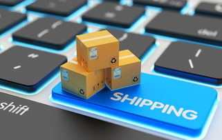 網絡人遠程控制軟件 功能、風險與合規使用指南